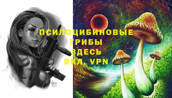 jwh Арсеньев