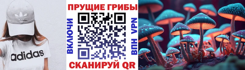 hydra ТОР Омутнинск Псилоцибиновые грибы Cubensis